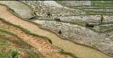 H'Mong people of Sapa, Vietnam 06