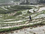 H'Mong people of Sapa, Vietnam 16