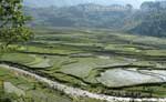 H'Mong people of Sapa, Vietnam 31